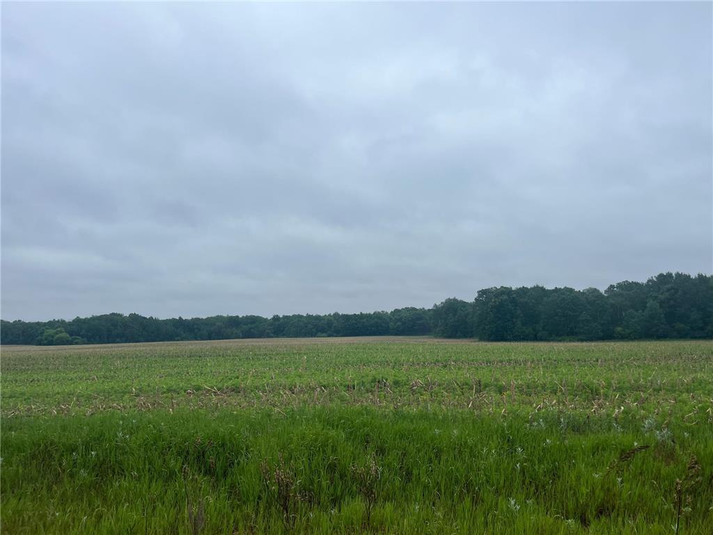TBD (Lot 3) Hemingway Avenue North Branch MN 55056 7088837 image1