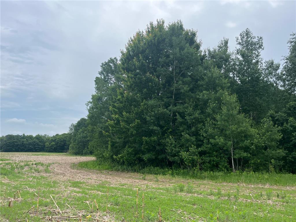 TBD (Lot 3) Hemingway Avenue North Branch MN 55056 7088837 image2