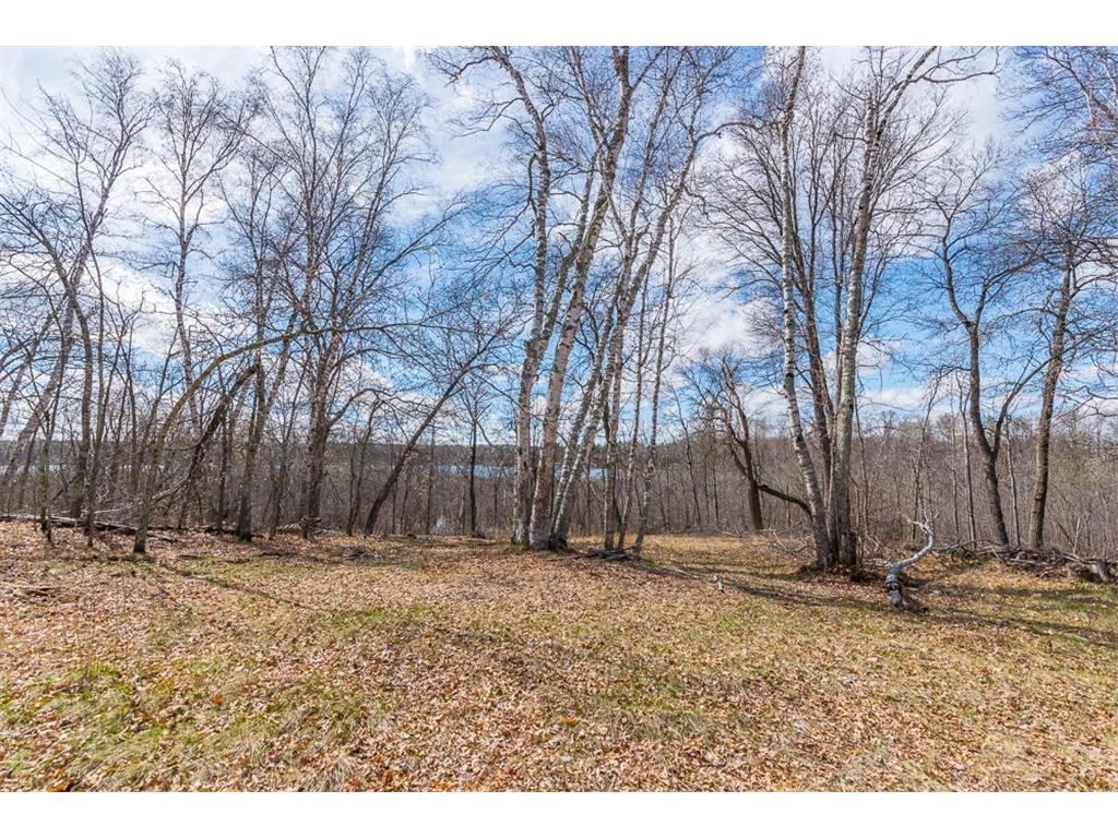 TBD - Lot 3 Hurtig Road Pequot Lakes MN 56472 - Mayo 6534220 image16