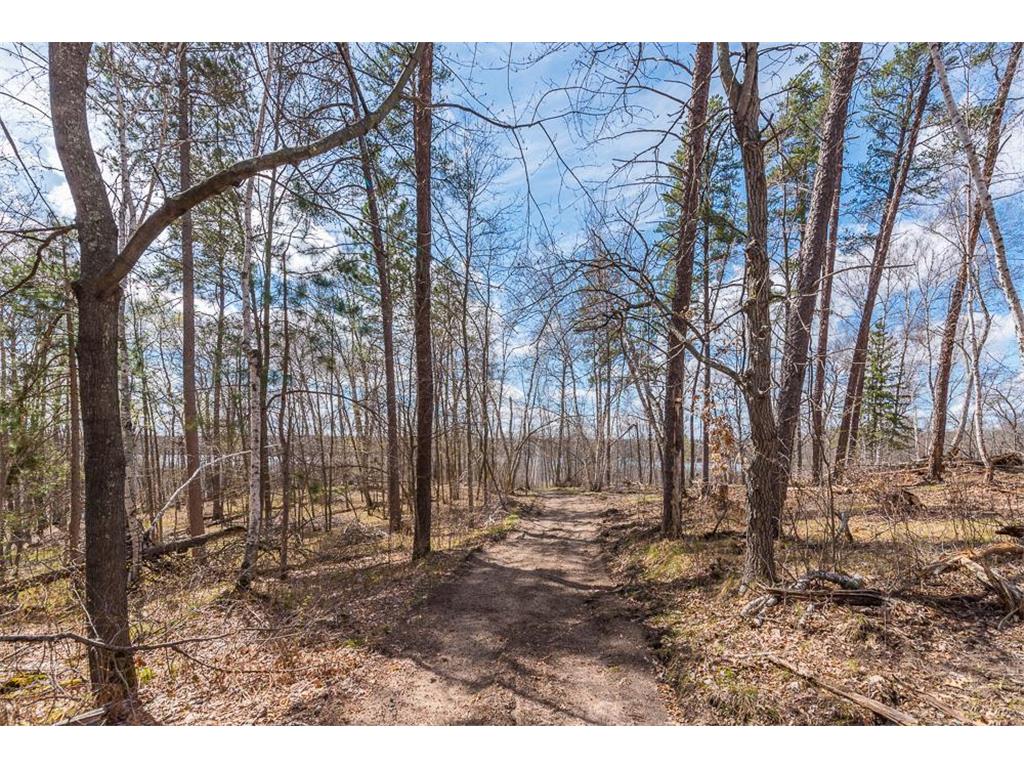 TBD - Lot 3 Hurtig Road Pequot Lakes MN 56472 - Mayo 6534220 image21