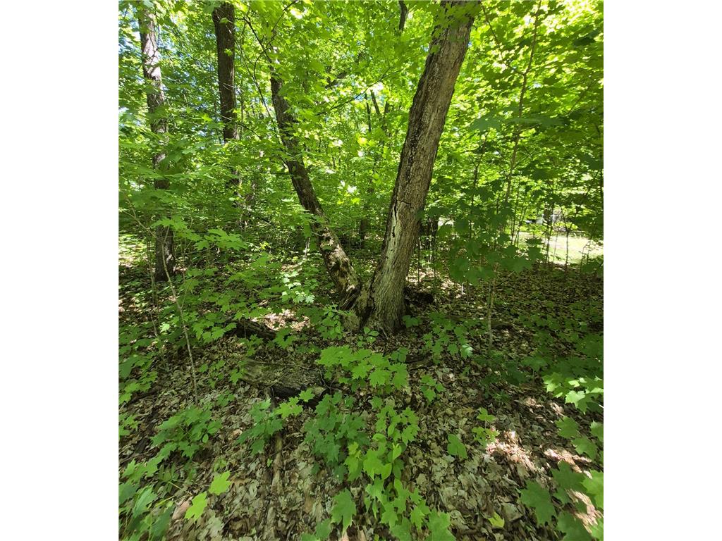 TBD Lot 309 197th Avenue Mcgregor MN 55760 7092473 image2