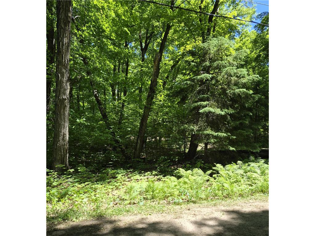 TBD Lot 309 197th Avenue Mcgregor MN 55760 7092473 image5