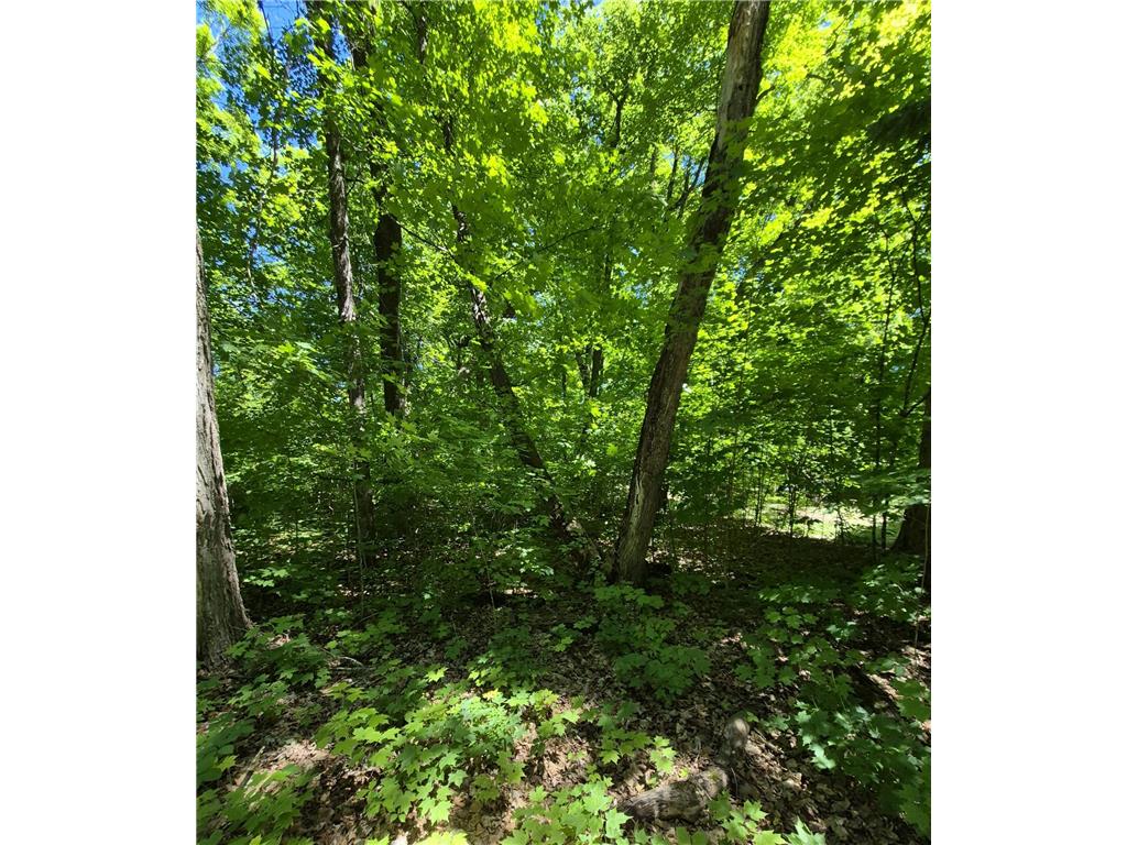 TBD Lot 309 197th Avenue Mcgregor MN 55760 7092473 image6