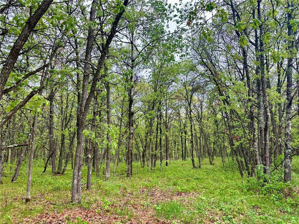 TBD Lot 4 204th St Park Rapids MN 56470 7032790 image4