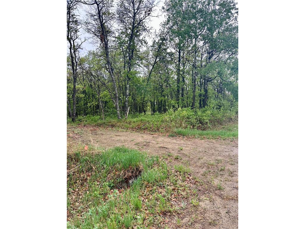TBD Lot 4 204th St Park Rapids MN 56470 7032790 image5