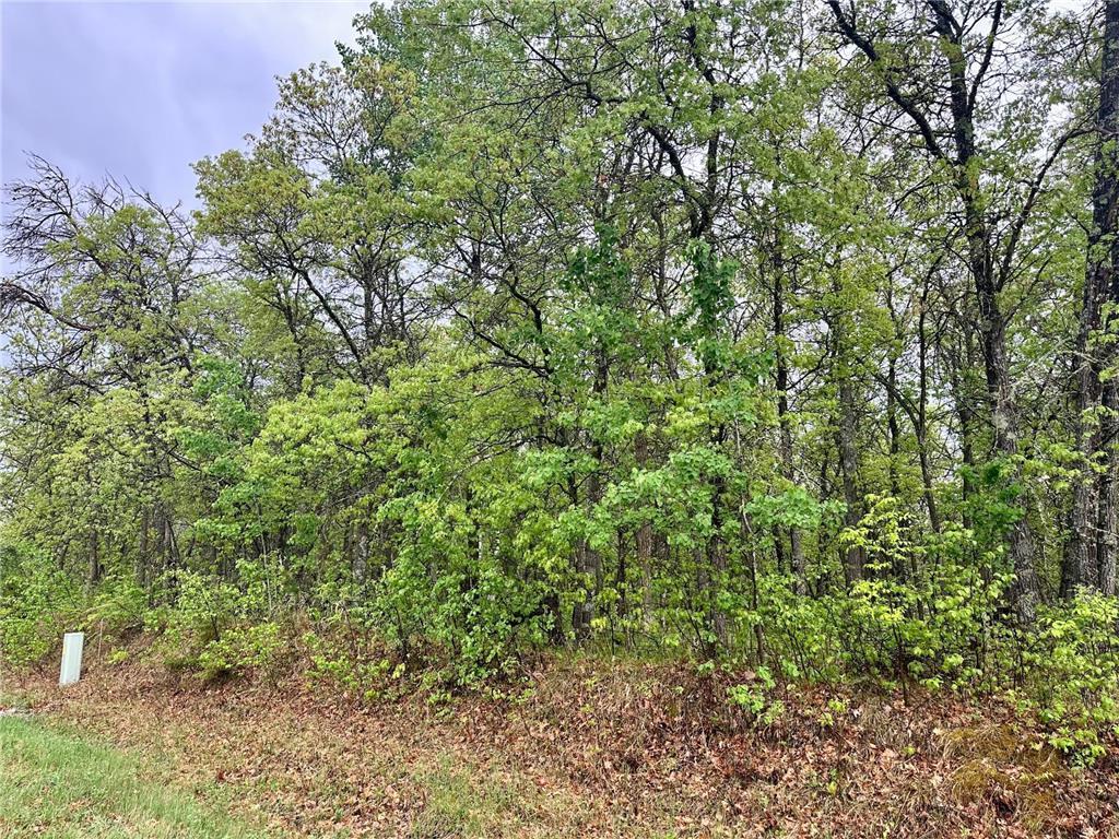 TBD Lot 4 204th St Park Rapids MN 56470 7032790 image6