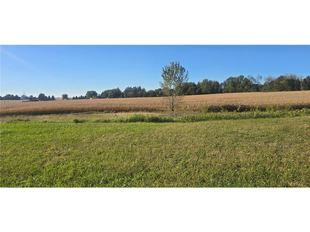 TBD ( Lot 4 Blk 1) 3rd Avenue SE Harmony MN 55939 6800049 image1