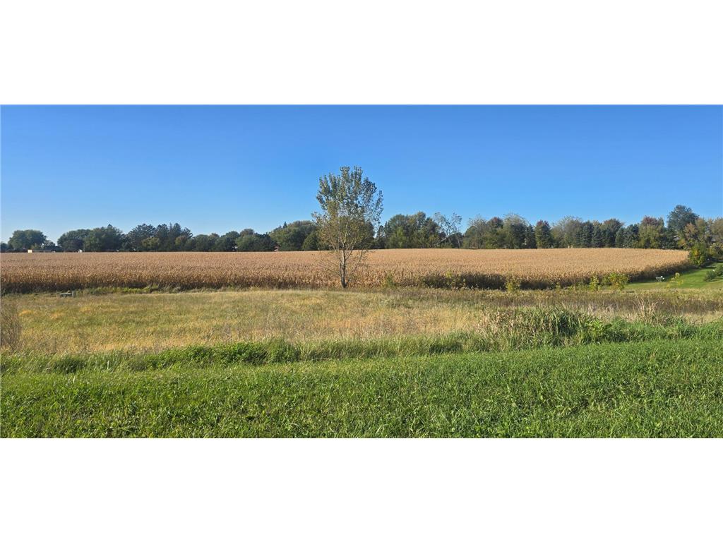 TBD ( Lot 4 Blk 1) 3rd Avenue SE Harmony MN 55939 6800049 image2