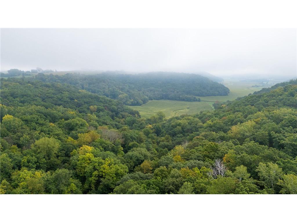 TBD (Lot 4) Goat Back Road Pepin WI 54759 6813978 image1