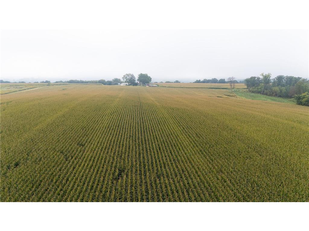 TBD (Lot 4) Goat Back Road Pepin WI 54759 6813978 image13