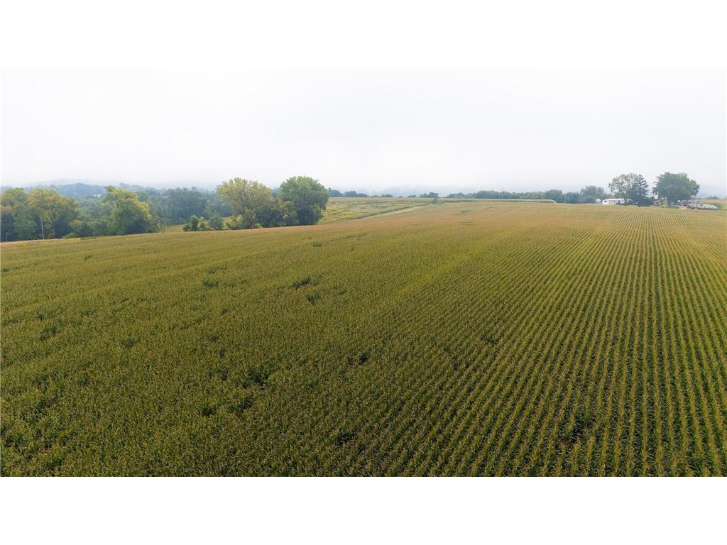 TBD (Lot 4) Goat Back Road Pepin WI 54759 6813978 image14