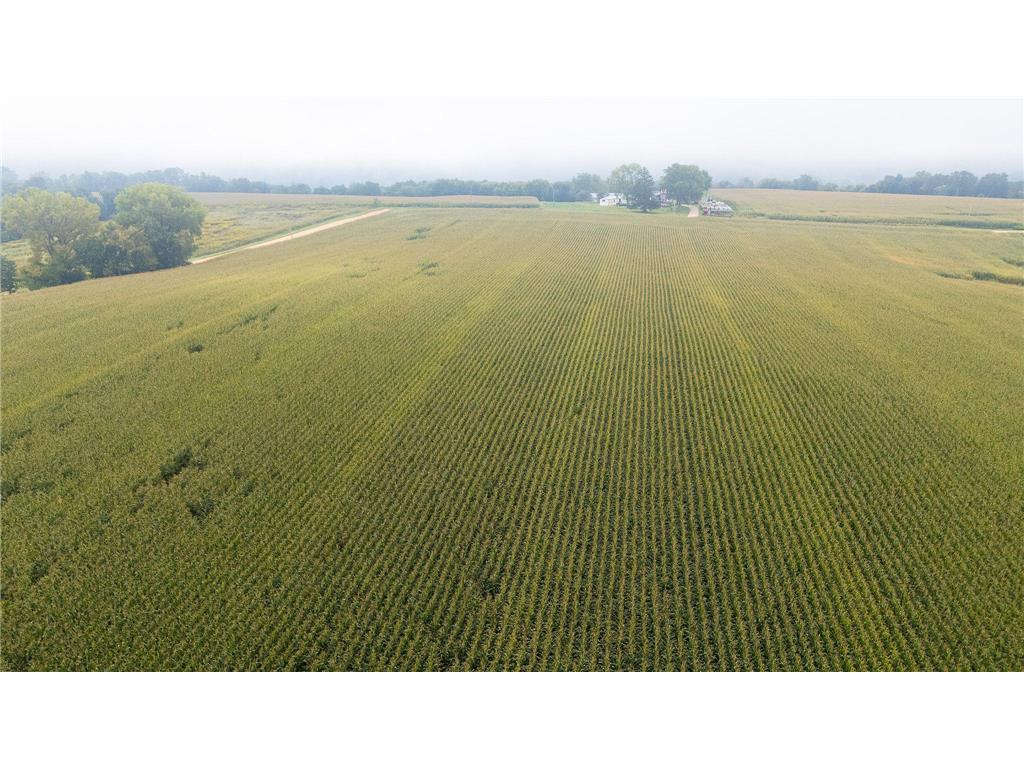 TBD (Lot 4) Goat Back Road Pepin WI 54759 6813978 image15