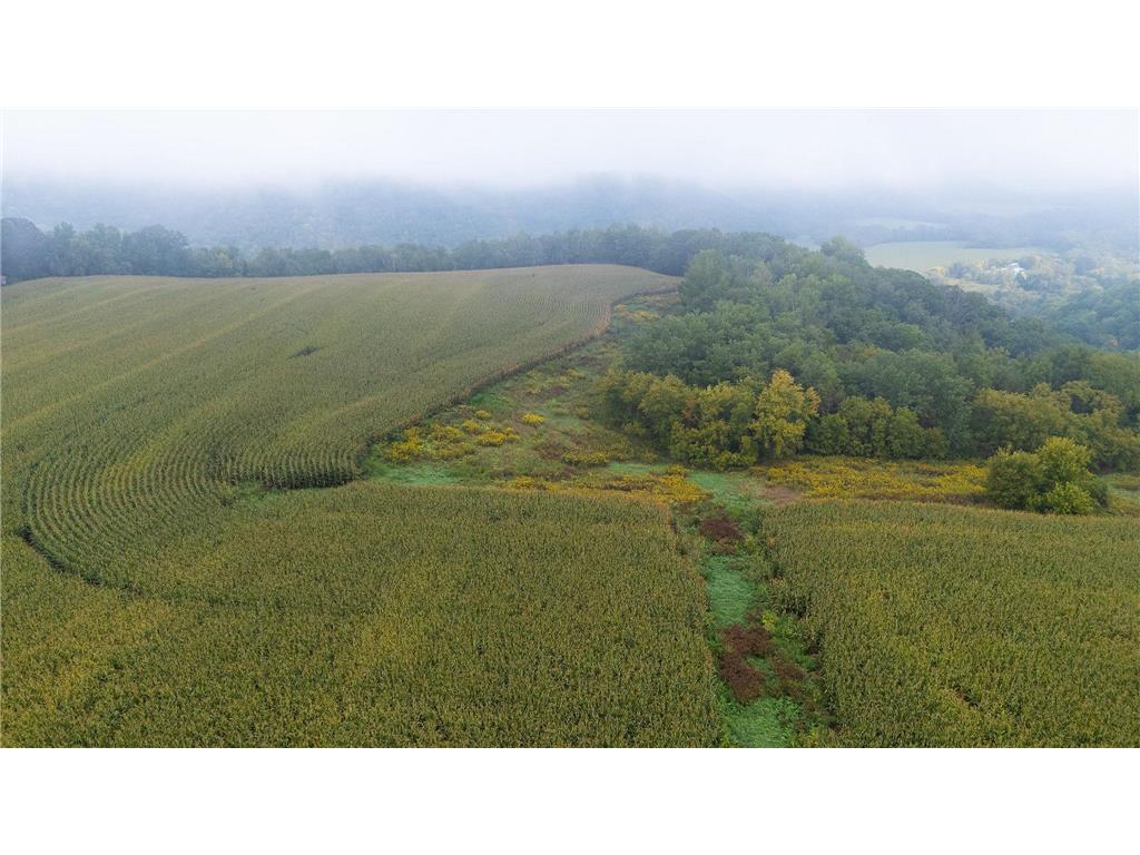 TBD (Lot 4) Goat Back Road Pepin WI 54759 6813978 image17