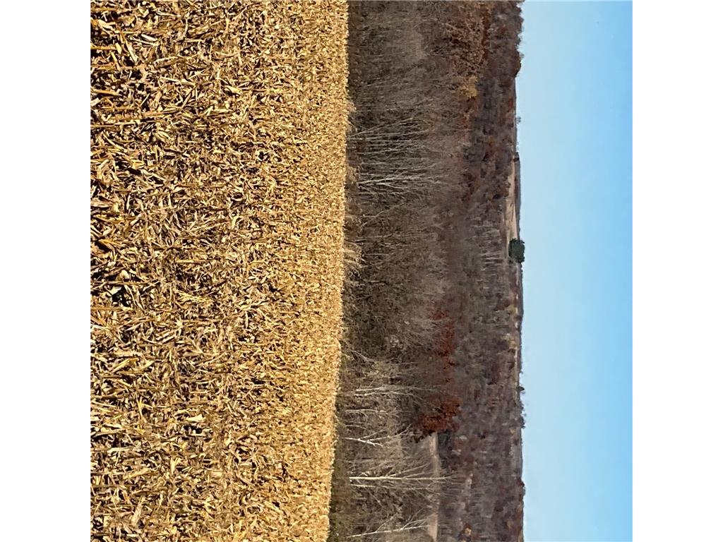 TBD (Lot 4) Goat Back Road Pepin WI 54759 6813978 image22