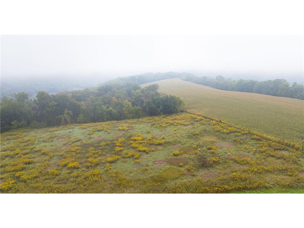 TBD (Lot 4) Goat Back Road Pepin WI 54759 6813978 image5