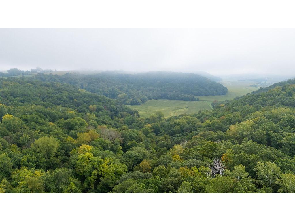 TBD (Lot 4) Goat Back Road Pepin WI 54759 7069180 image1