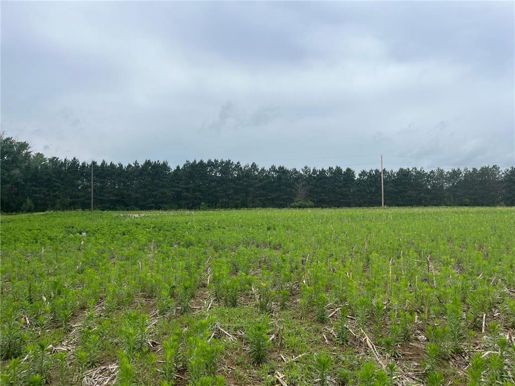 TBD (Lot 4) Hemingway Avenue North Branch MN 55056 7088839 image1