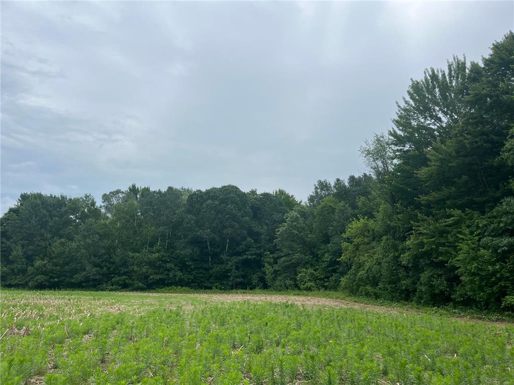 TBD (Lot 4) Hemingway Avenue North Branch MN 55056 7088839 image2