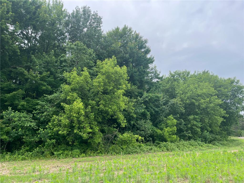 TBD (Lot 4) Hemingway Avenue North Branch MN 55056 7088839 image3