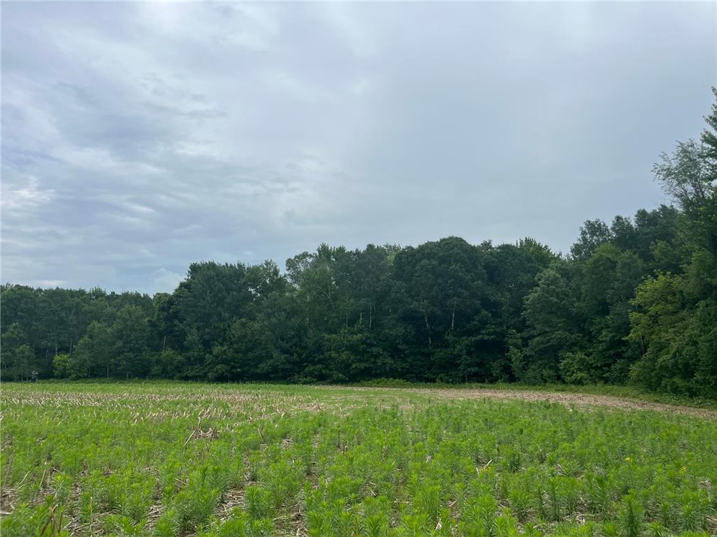 TBD (Lot 4) Hemingway Avenue North Branch MN 55056 7088839 image4