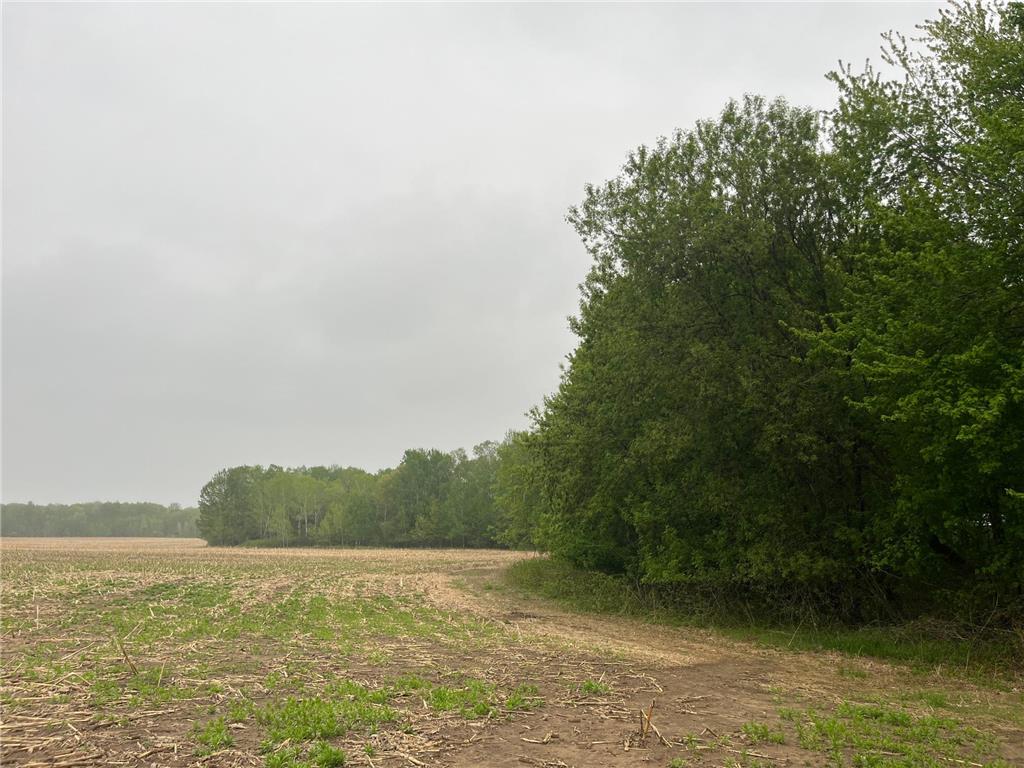 TBD (Lot 4) Hemingway Avenue North Branch MN 55056 7088839 image5