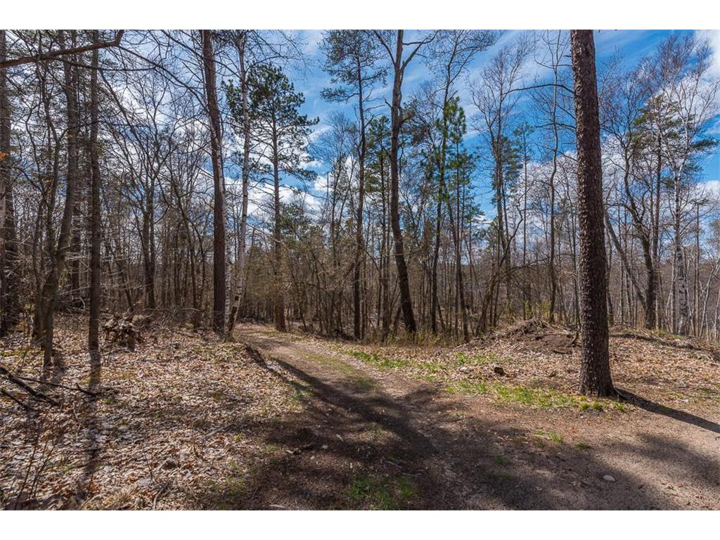 TBD - Lot 4 Hurtig Road Pequot Lakes MN 56472 - Mayo 6534310 image21