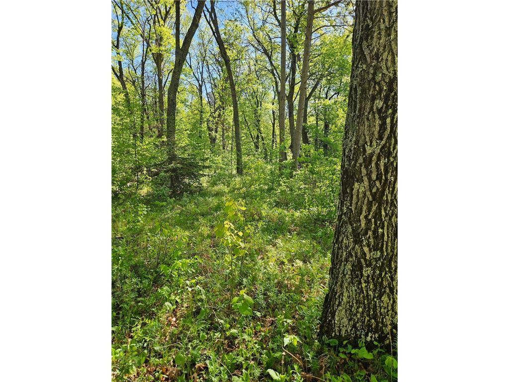 TBD Lot 49 Blk 1 HURON DR. Breezy Point MN 56472 6801843 image6