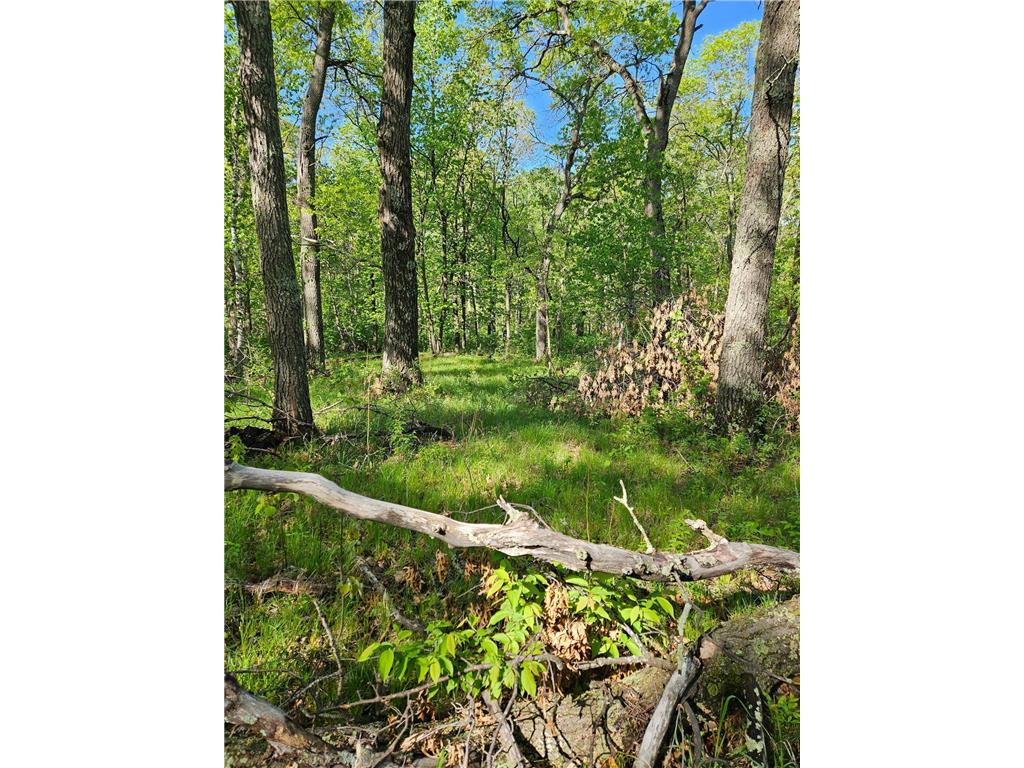TBD Lot 49 Blk 1 HURON DR. Breezy Point MN 56472 7041188 image3