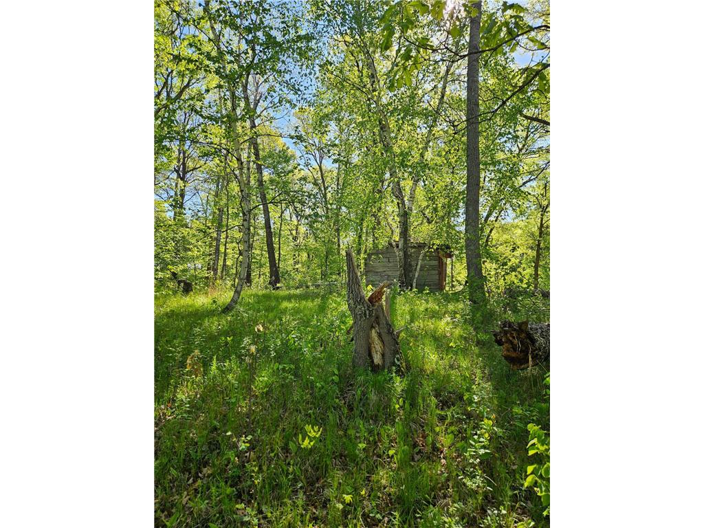 TBD Lot 49 Blk 1 HURON DR. Breezy Point MN 56472 7041188 image5