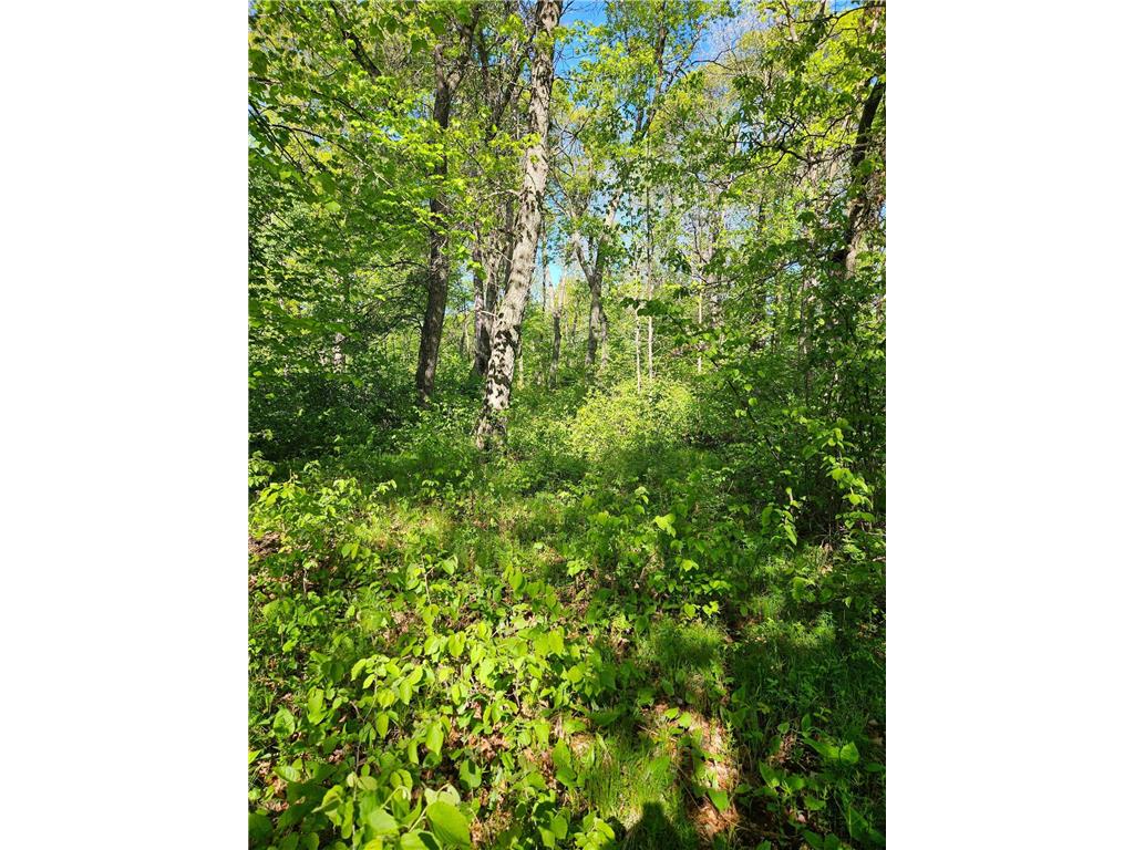 TBD Lot 49 Blk 1 HURON DR. Breezy Point MN 56472 7041188 image7