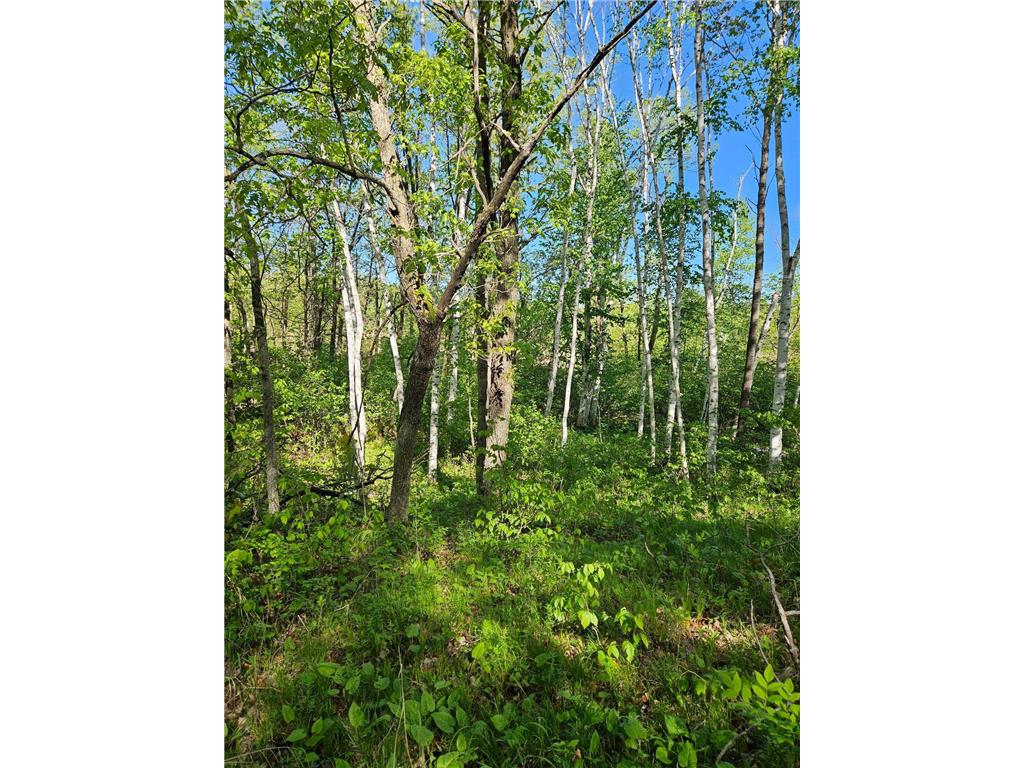 TBD Lot 49 Blk 1 HURON DR. Breezy Point MN 56472 7041188 image8