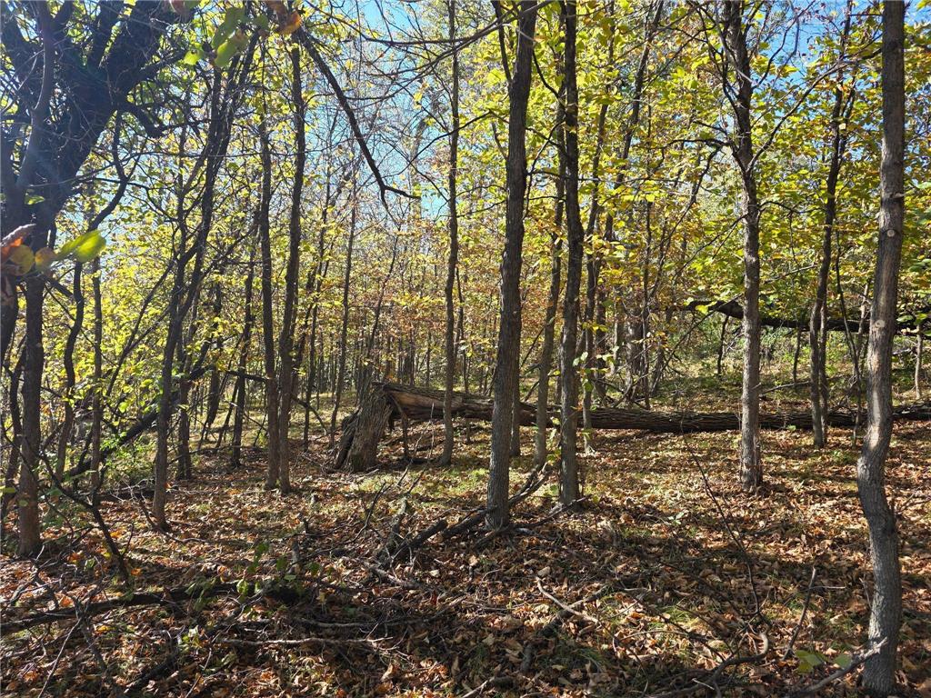 TBD Lot 5 317th St Underwood MN 56586 - Maine 7025969 image17