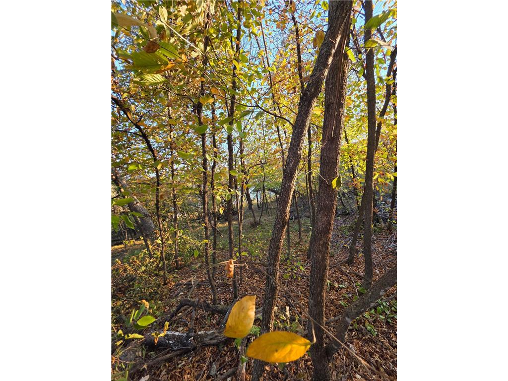 TBD Lot 5 317th St Underwood MN 56586 - Maine 7025969 image23