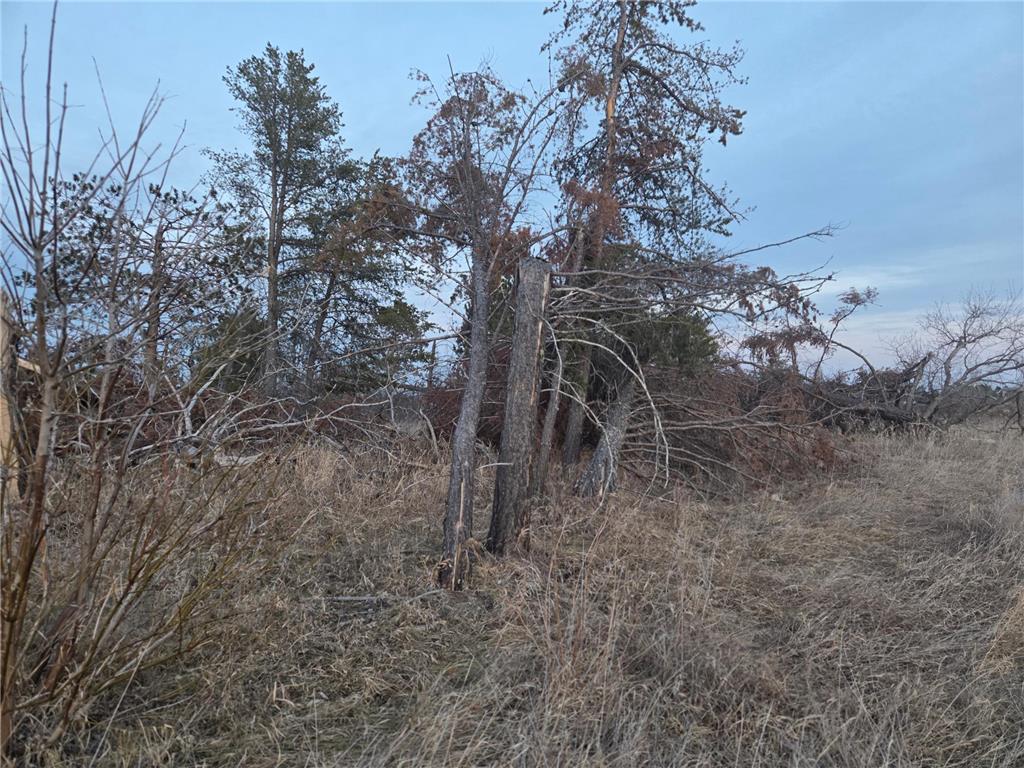TBD Lot 5 Beartooth Avenue SW Bemidji MN 56601 7044343 image3