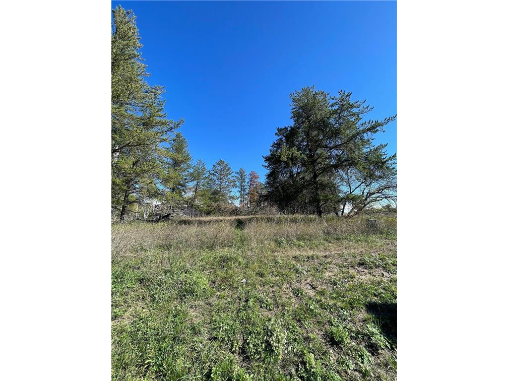 TBD Lot 5 Beartooth Avenue SW Bemidji MN 56601 7044343 image6