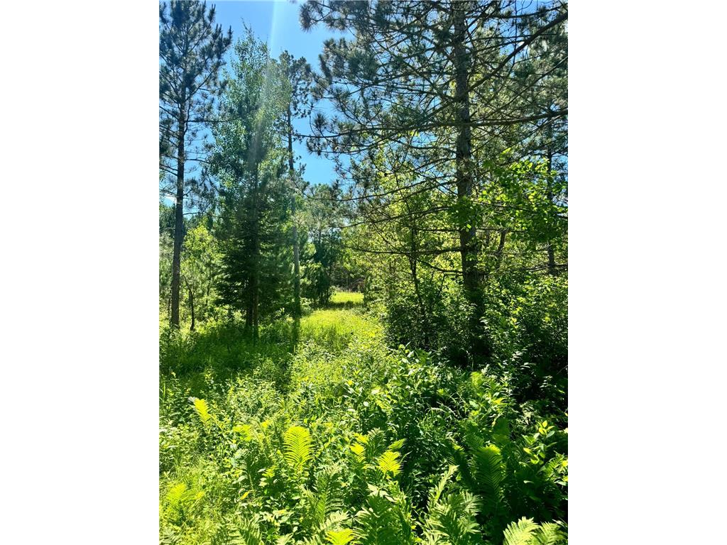 TBD Lot 5 Destination Drive Nevis MN 56467 6748277 image1