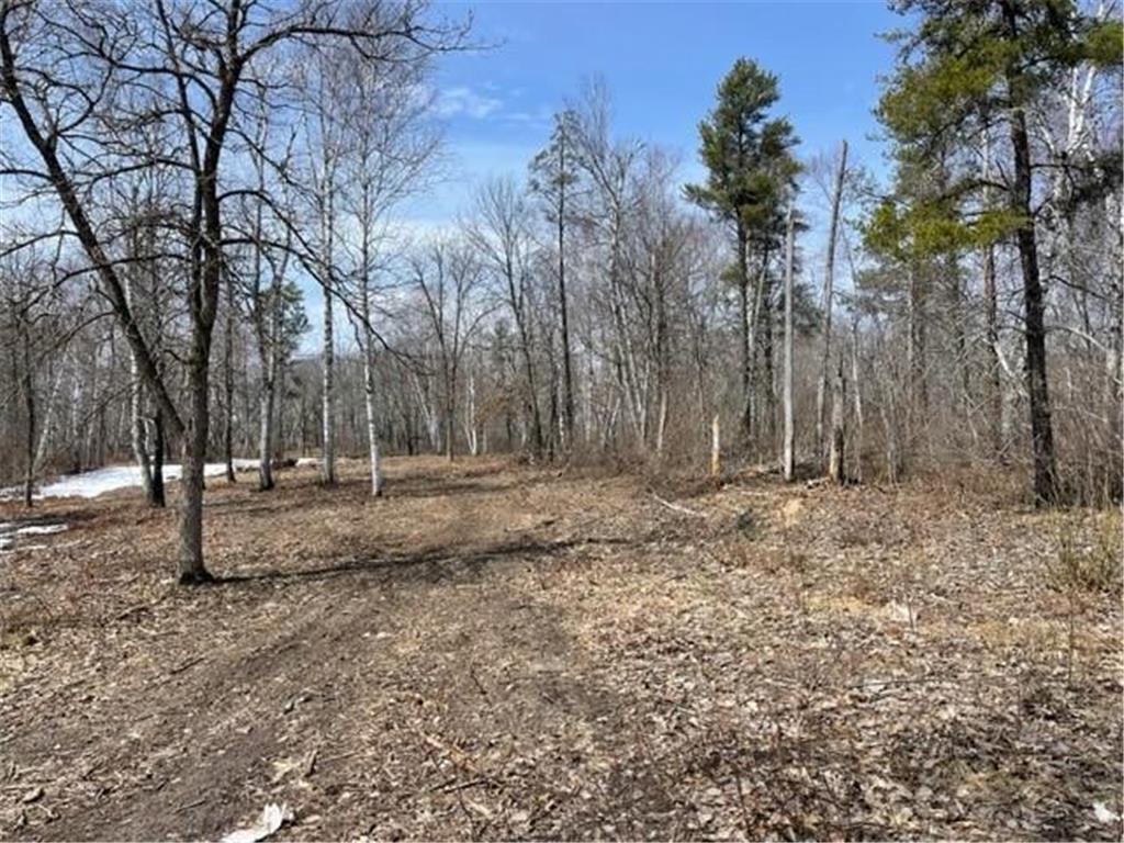 TBD Lot 5 New Manz Drive Lake George MN 56458 - George Lake 6617609 image3