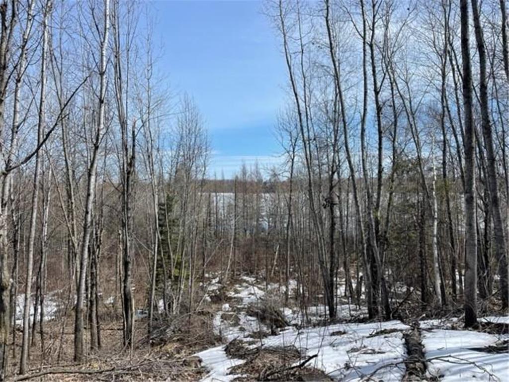 TBD Lot 5 New Manz Drive Lake George MN 56458 - George Lake 6617609 image6