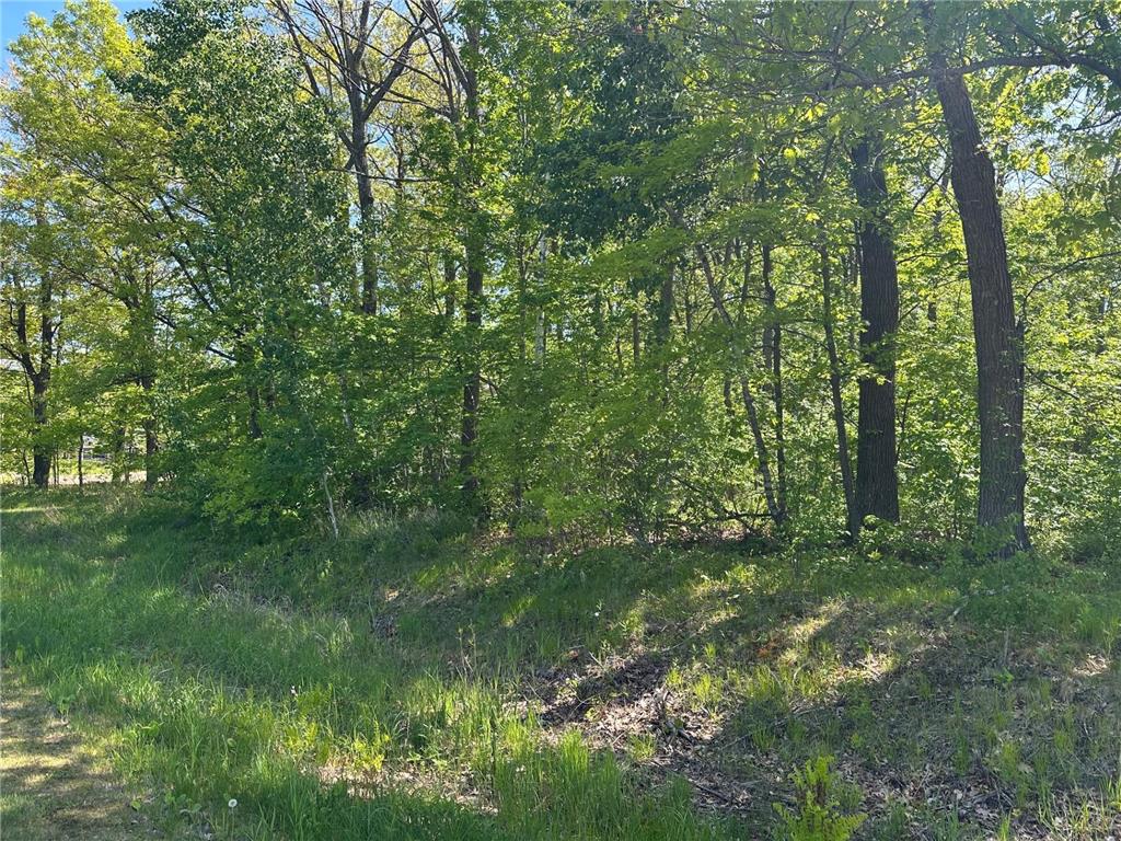 TBD Lot # 6 Fairway Lane Onamia MN 56359 6726616 image2