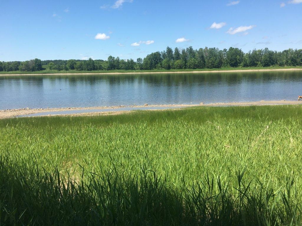 TBD (Lot A) Highway 11 International Falls MN 56649 - Rainy River 6432436 image1