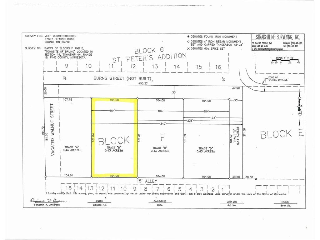 TBD-Lot B Burns Street Bruno MN 55712 6746702 image6