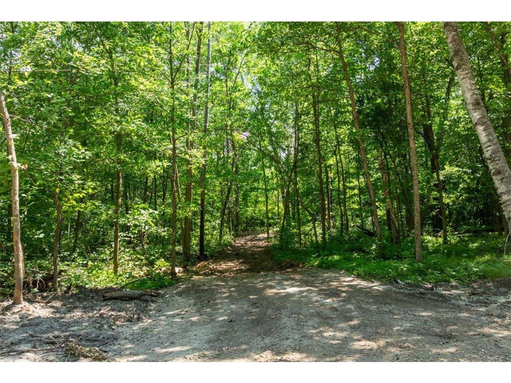 TBD Lot B Hidden Pond Lane Pelican Twp MN 56472 7107051 image1