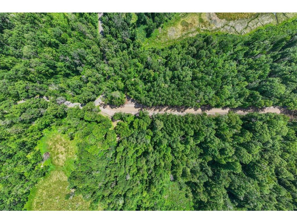 TBD Lot B Hidden Pond Lane Pelican Twp MN 56472 7107051 image14