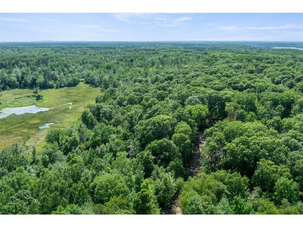 TBD Lot B Hidden Pond Lane Pelican Twp MN 56472 7107051 image18