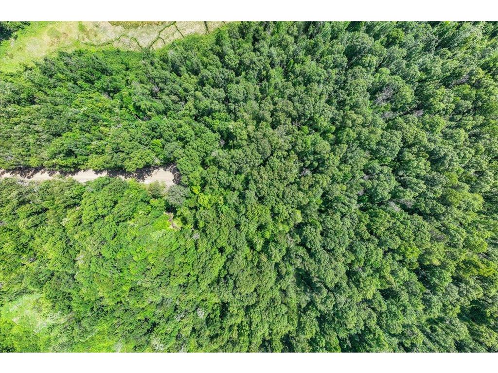 TBD Lot B Hidden Pond Lane Pelican Twp MN 56472 7107051 image7