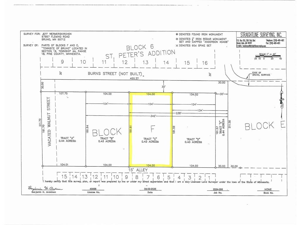 TBD-Lot C Burns Street Bruno MN 55712 6746705 image3