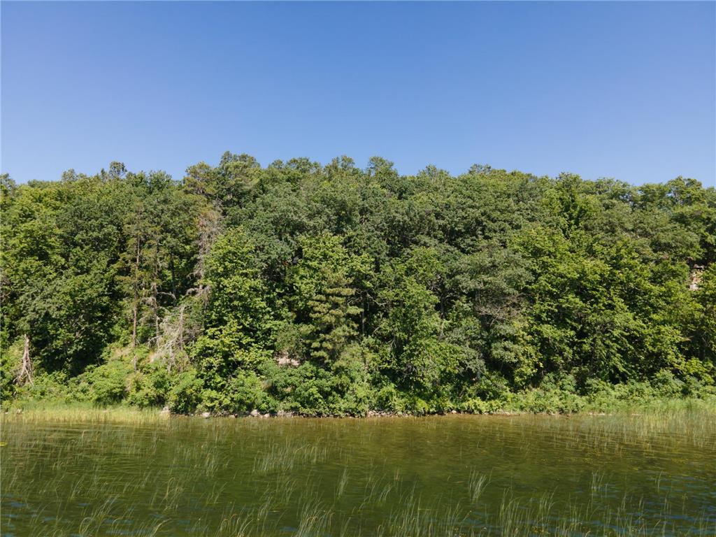 TBD Lot D Ann Marie Lane NW Walker MN 56484 - Leech Lake 6709122 image8