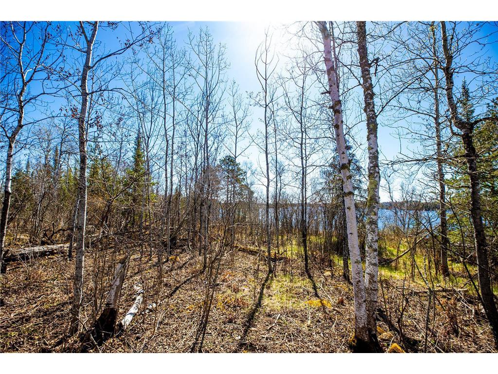 TBD (Lot E) County Highway 77 Tower MN 55790 - Allen 6718121 image11