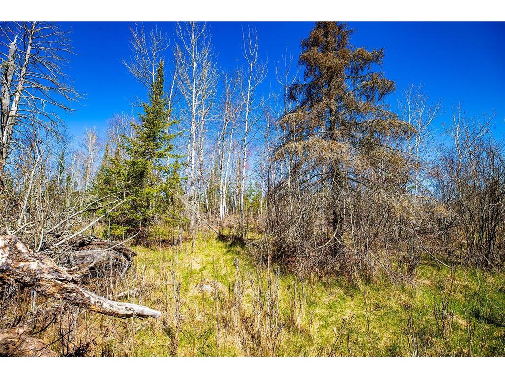 TBD (Lot E) County Highway 77 Tower MN 55790 - Allen 6718121 image7
