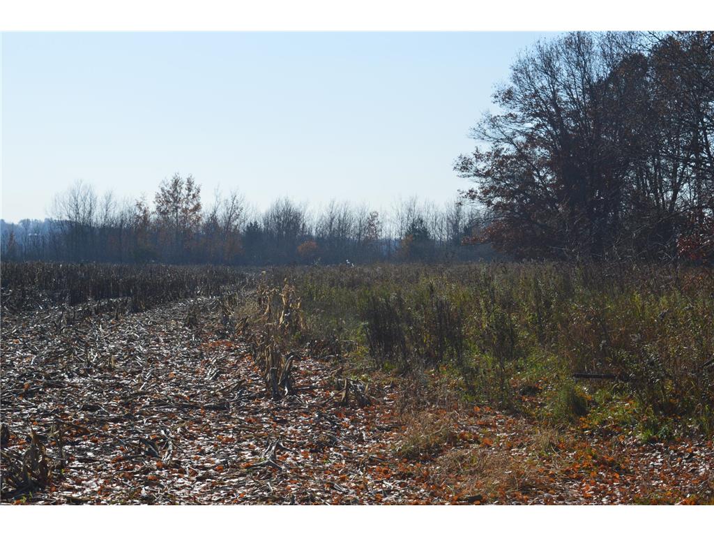 TBD Lot G Mayhew Lake Road Sauk Rapids MN 56379 6802687 image9